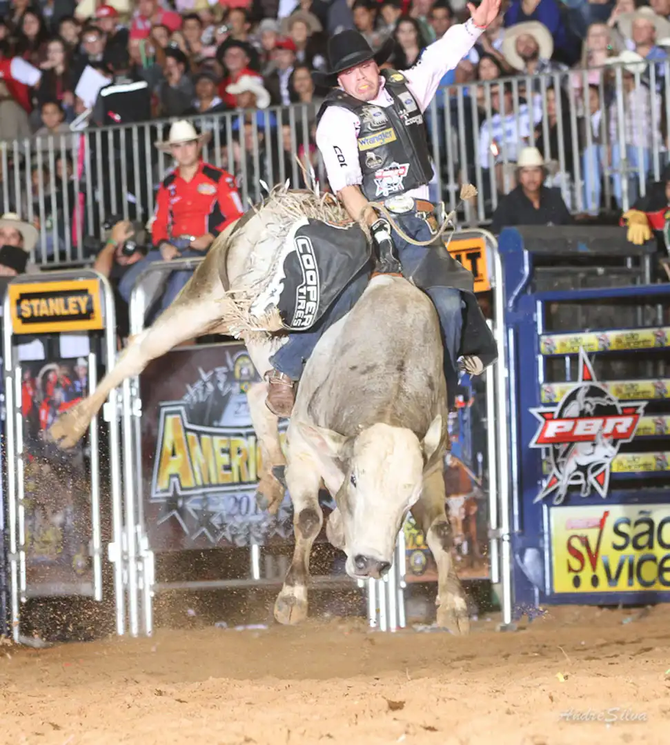 d30f85fd-47ca-4148-843a-727011fca6eb