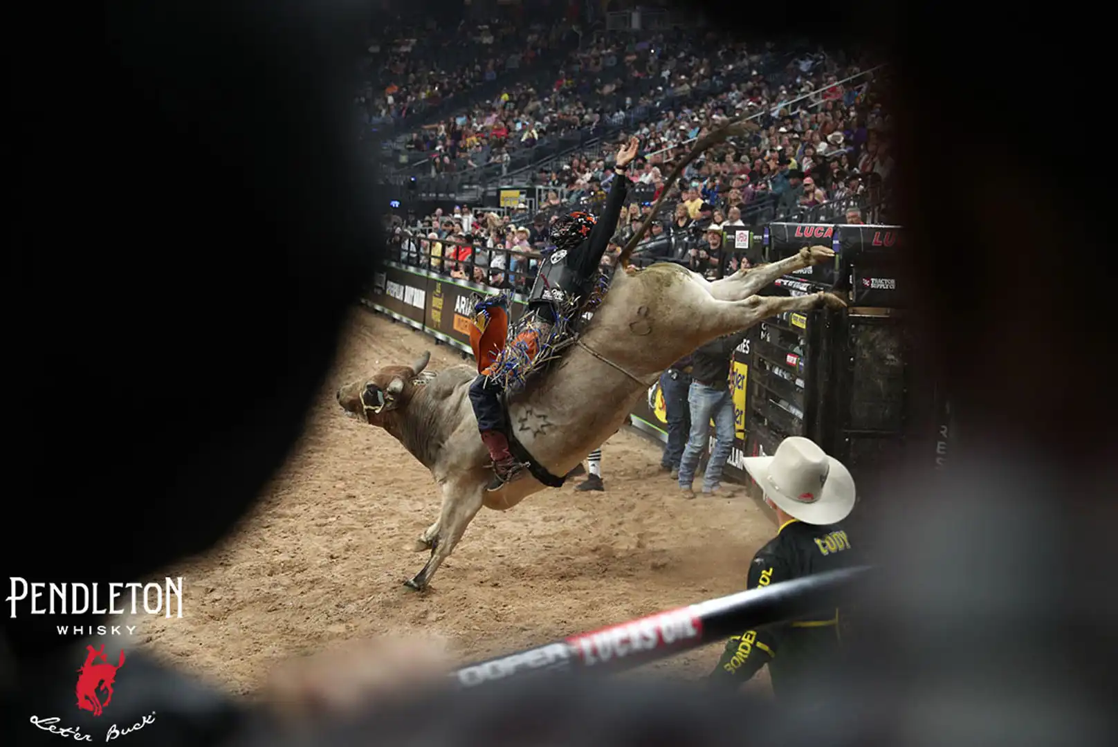 726d1d76-ae59-413c-9731-d045cba72e51