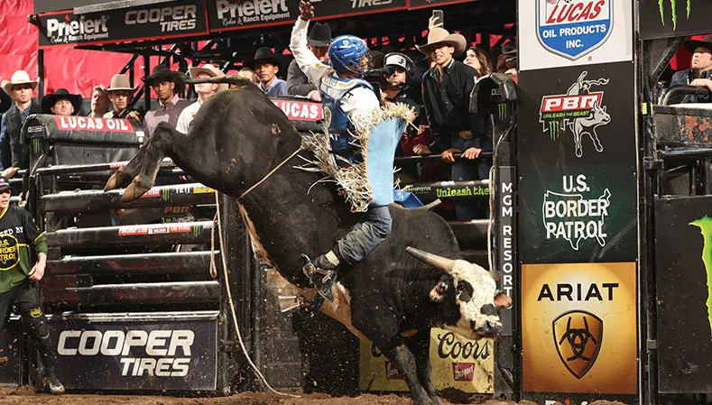 Owen names bull for Jack Wilson, Texas church shooting hero