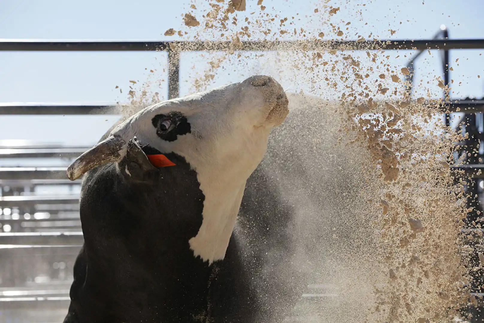 72c17832-5fd6-4246-8630-5705ba3b5e16