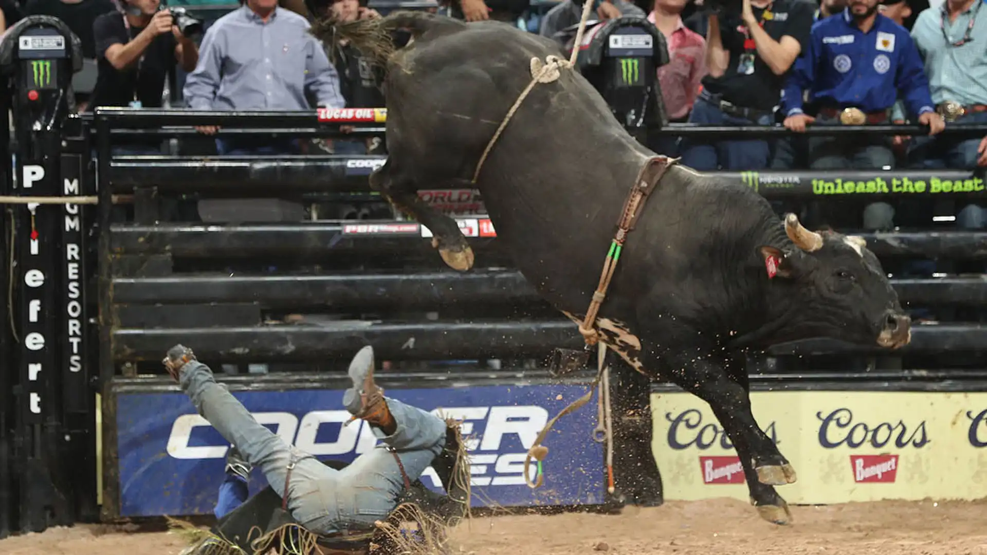 ca95221e-32c5-47b1-b97e-06ca3790b909