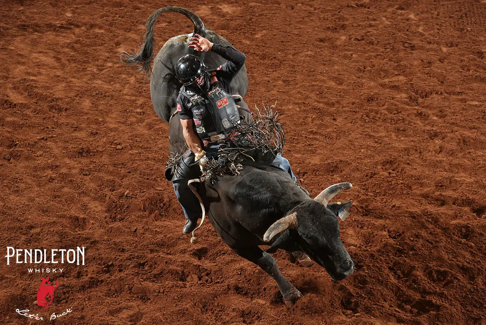 7cd54322-bb8b-44cd-be4e-68f0e5fde646