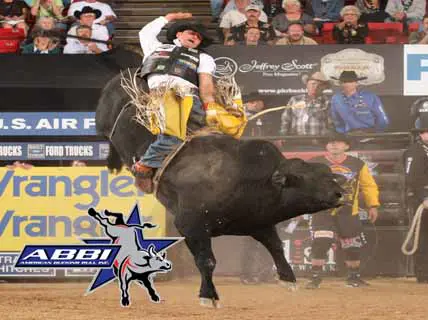 ABBI Announces Classic & Futurity Bull Winners
