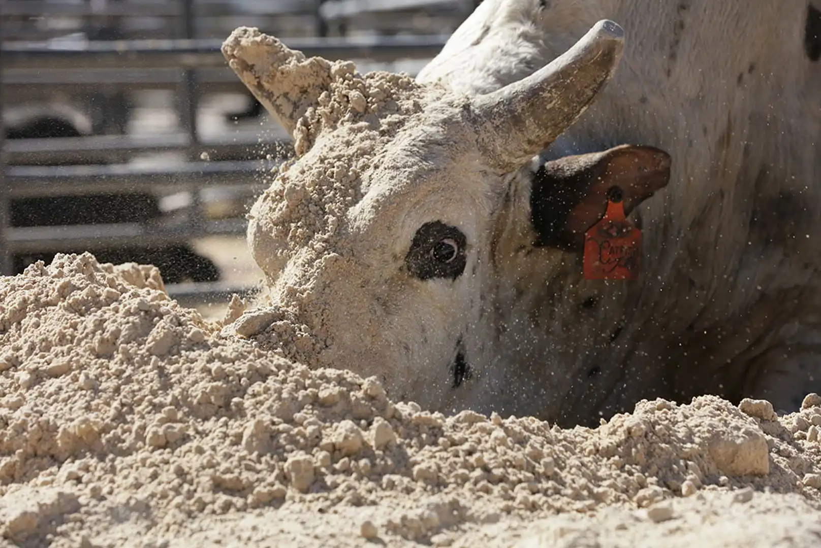 ddf3f27d-2e6c-49d6-989b-a4a1252625a3