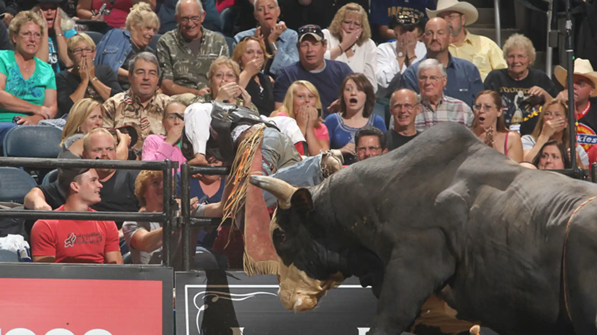 9c18d52c-954b-4c1e-b852-7d985e05adb8