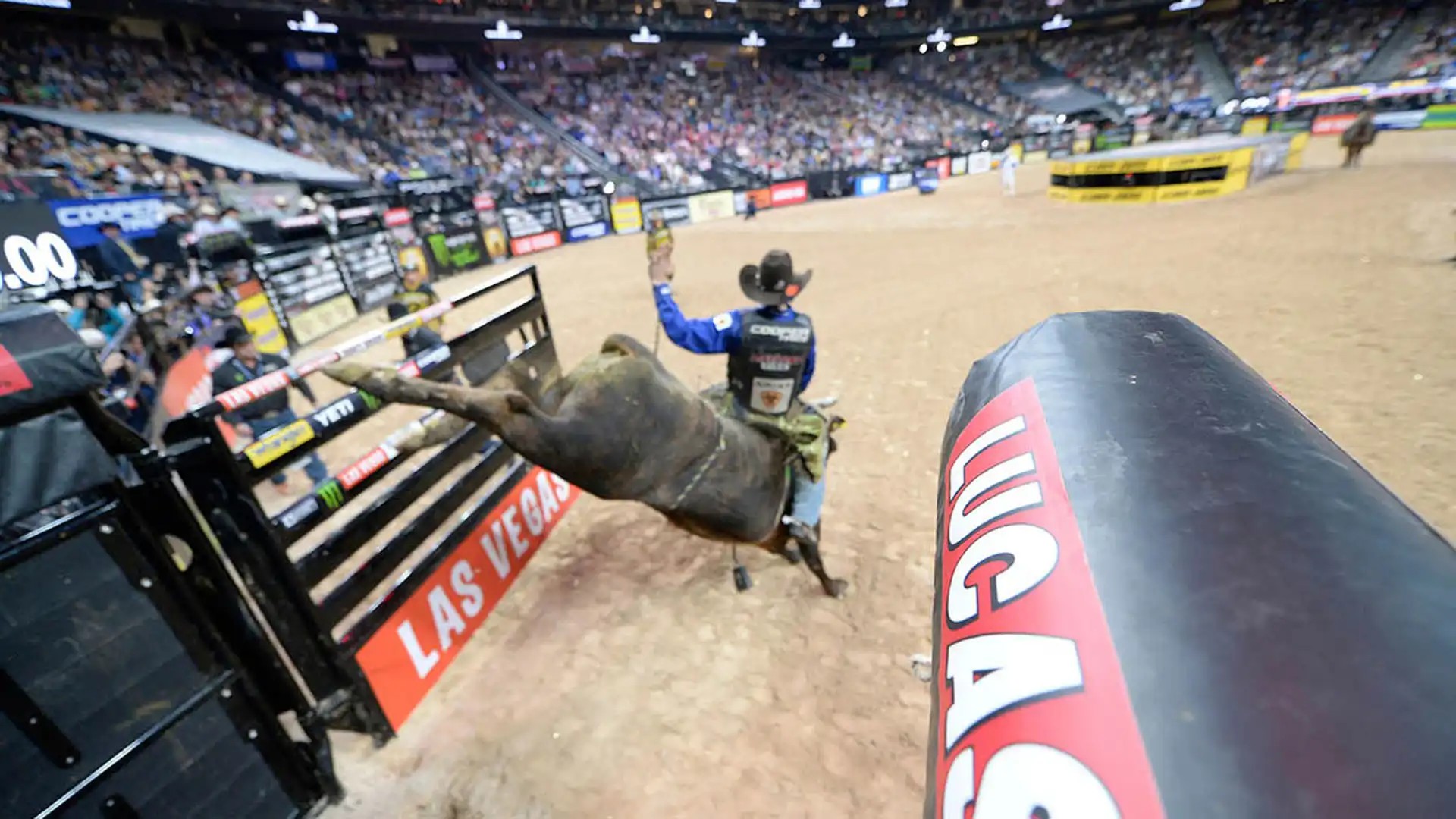 43c4bdf0-60ad-49df-8348-287eb184051c