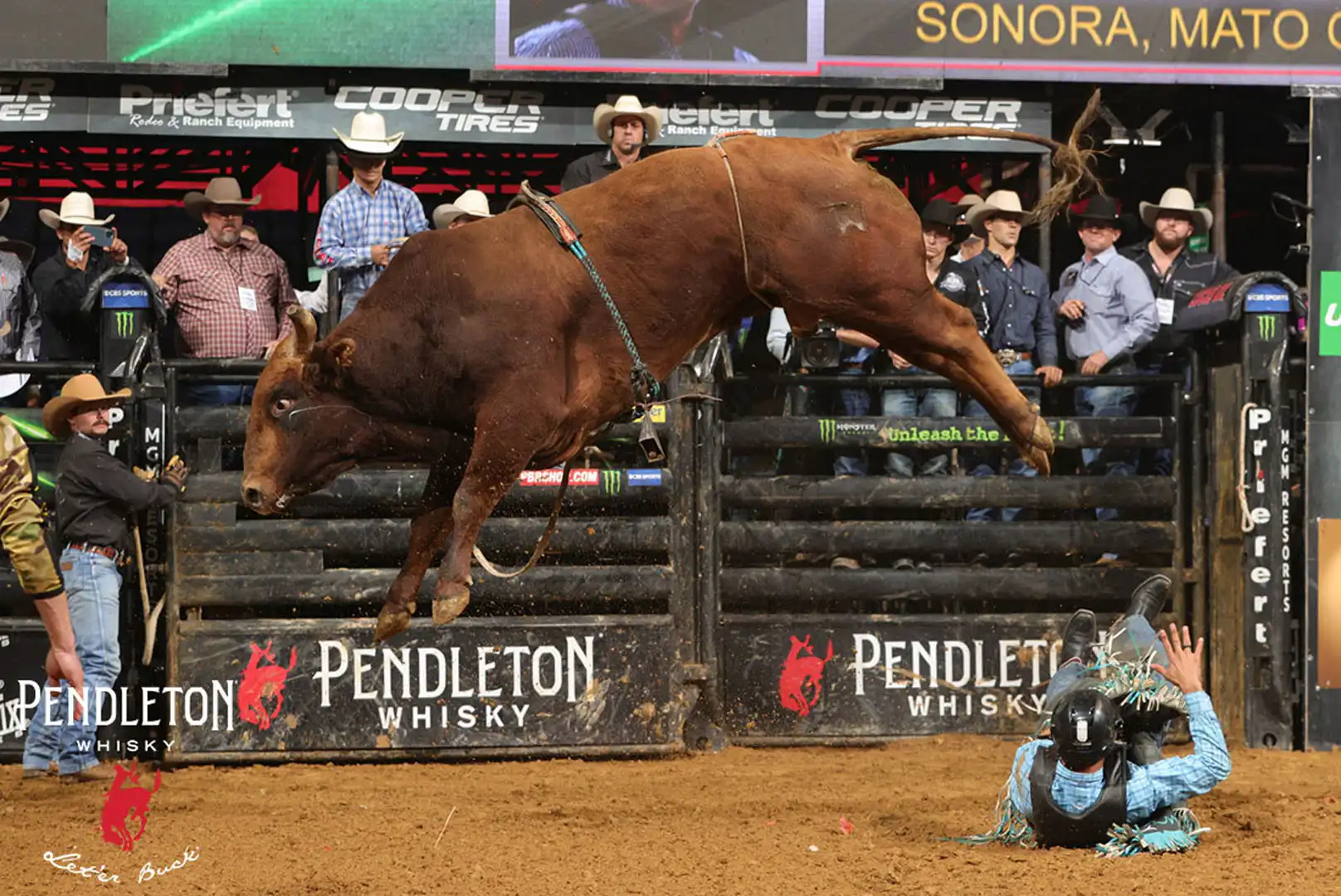 be91b909-0819-4d45-b285-44c64d521f6b