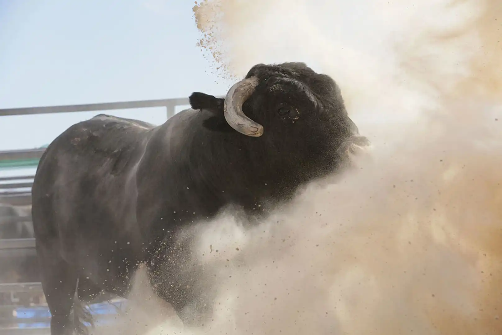 93af9305-ff12-4ef1-8a97-31b295e6a9e0