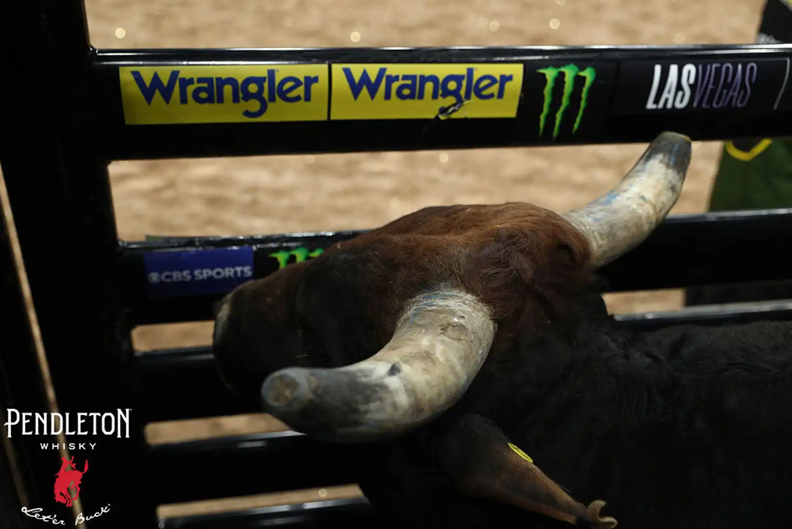 7269c77d-c87f-4d40-ad5d-28b36fe8bd94