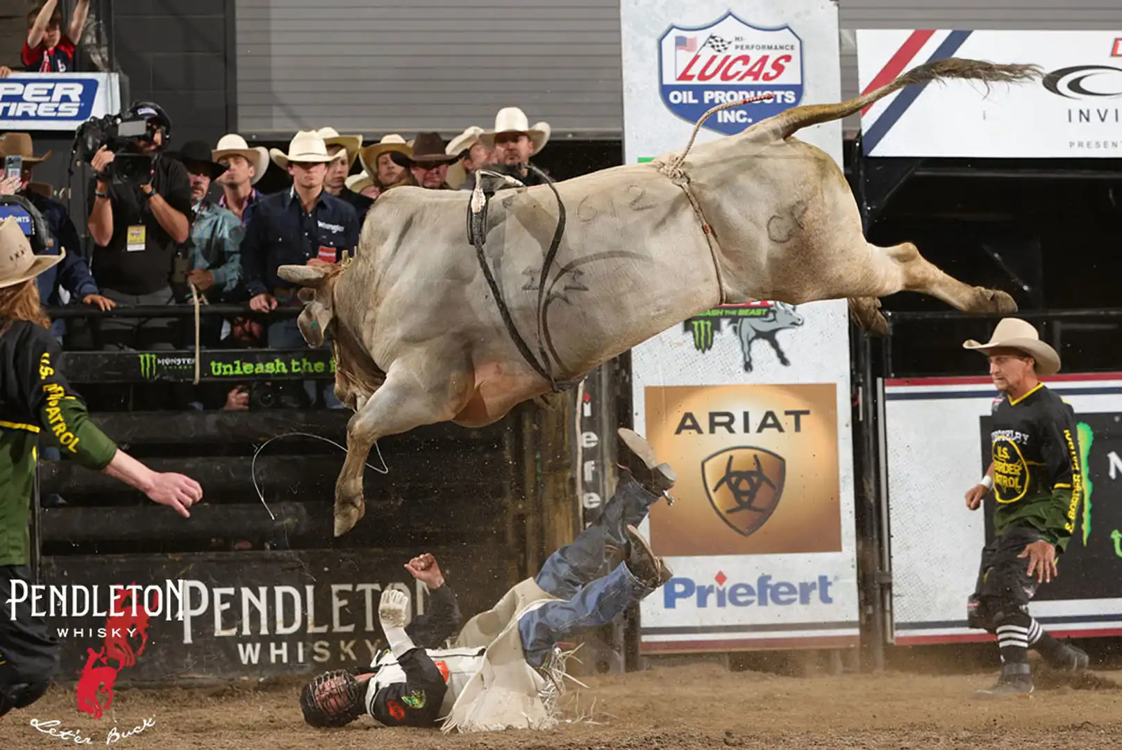 071f6c9b-063b-4478-b20d-f8f461547535