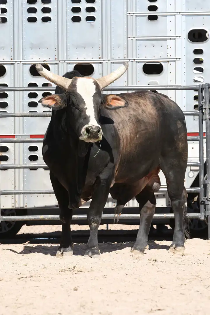 ab08d166-58a7-4f5b-b92f-82db927c4273