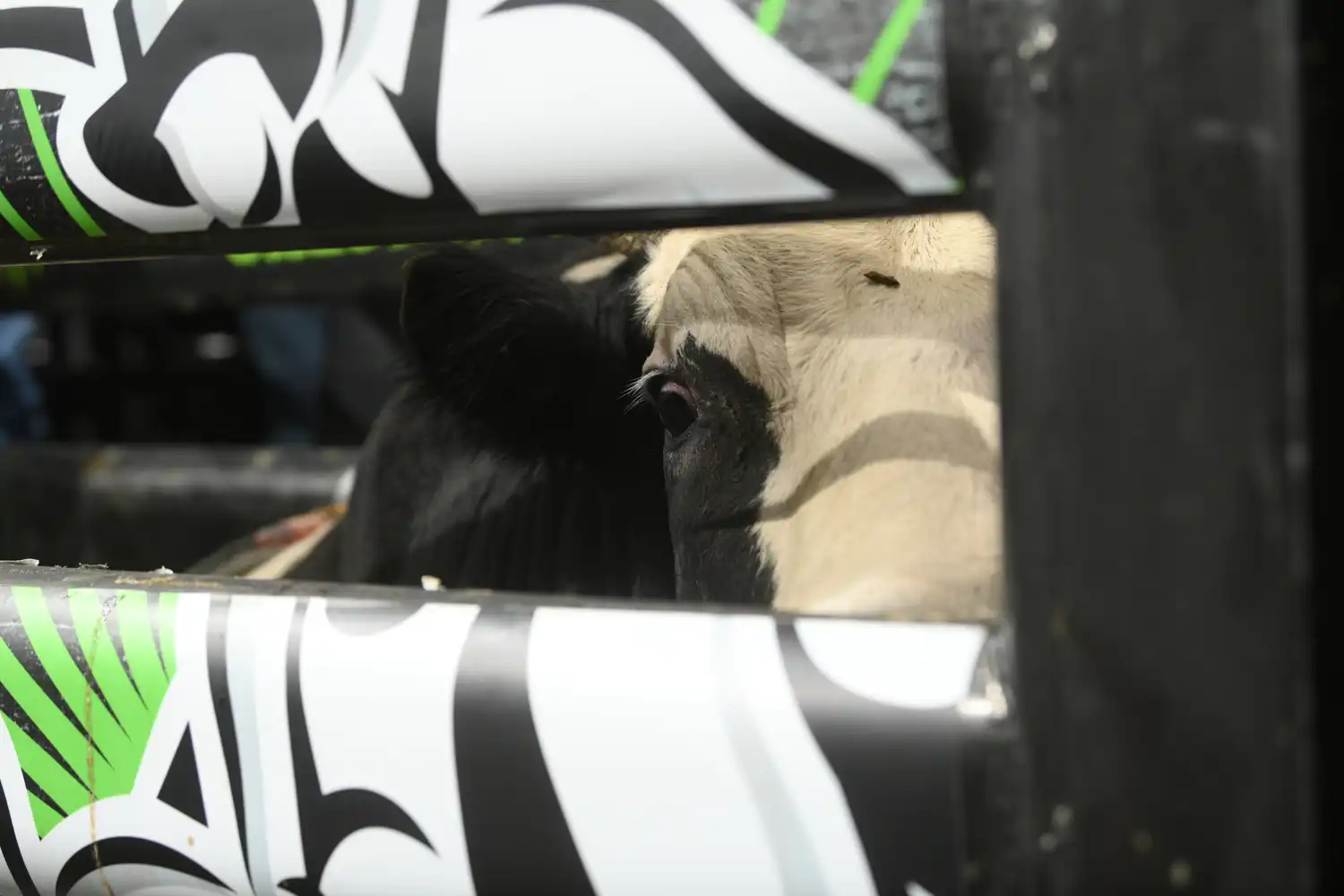 25 LIVE Pittsburgh 01 1017