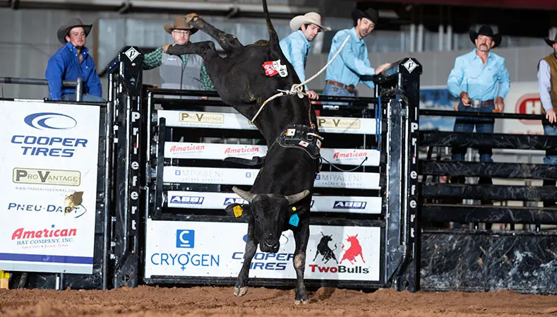 Record-setting American Bucking Bull Inc. season continues with American Heritage and $50,000-added Futurity events to be held in tandem with the 2022 PBR World Finals