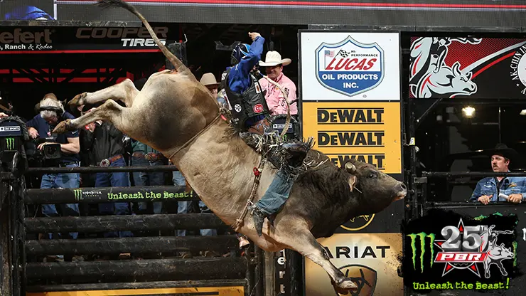 Top-5 bull scores for SweetPro’s Bruiser this season