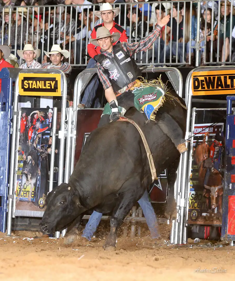 11cd9387-0e61-4d98-bce7-867a9821e202