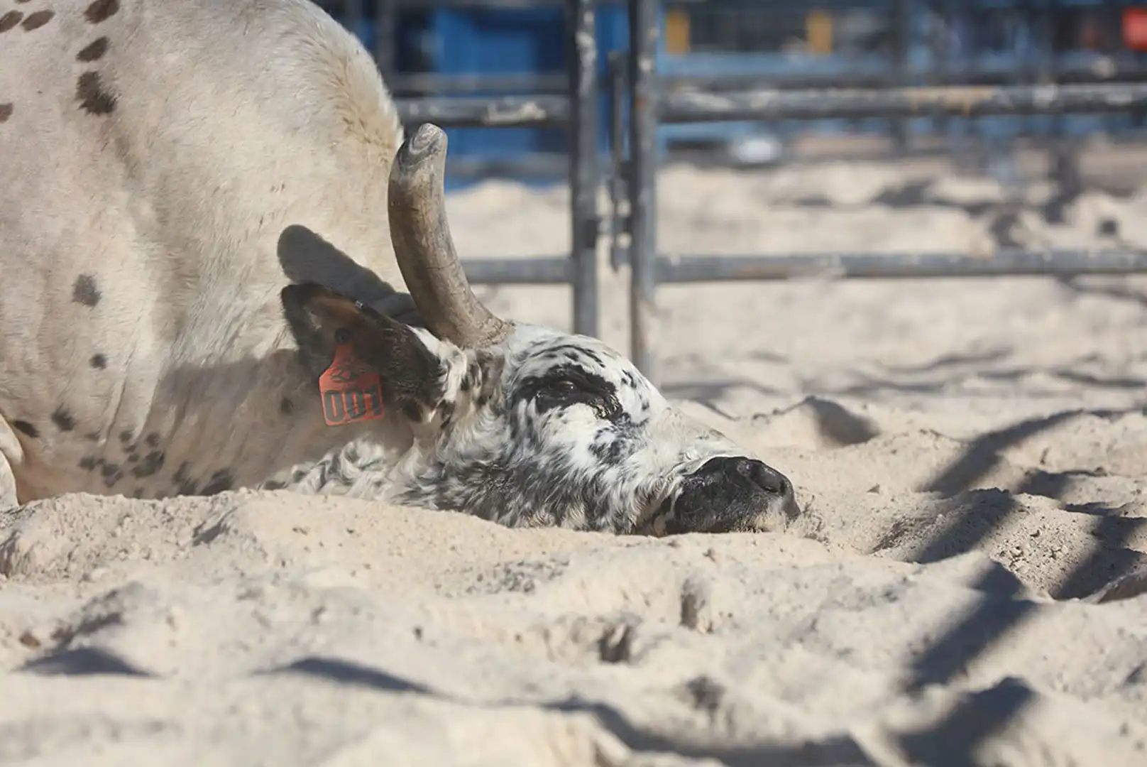 aa64e17b-8f03-4cb3-8747-d2439f9fe0f1