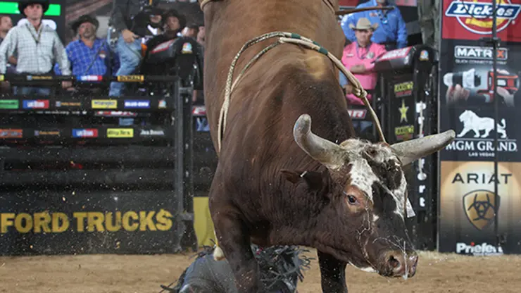 Bushwacker dubbed 'Baddest Body in Sports'