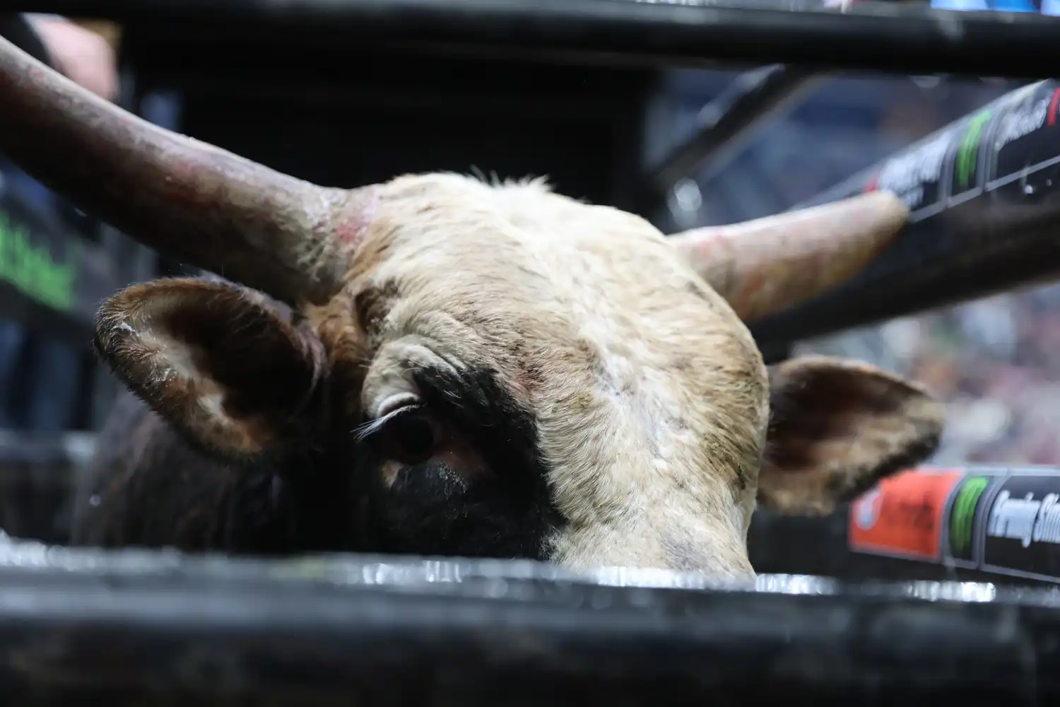 25 LIVE Pittsburgh 02 787