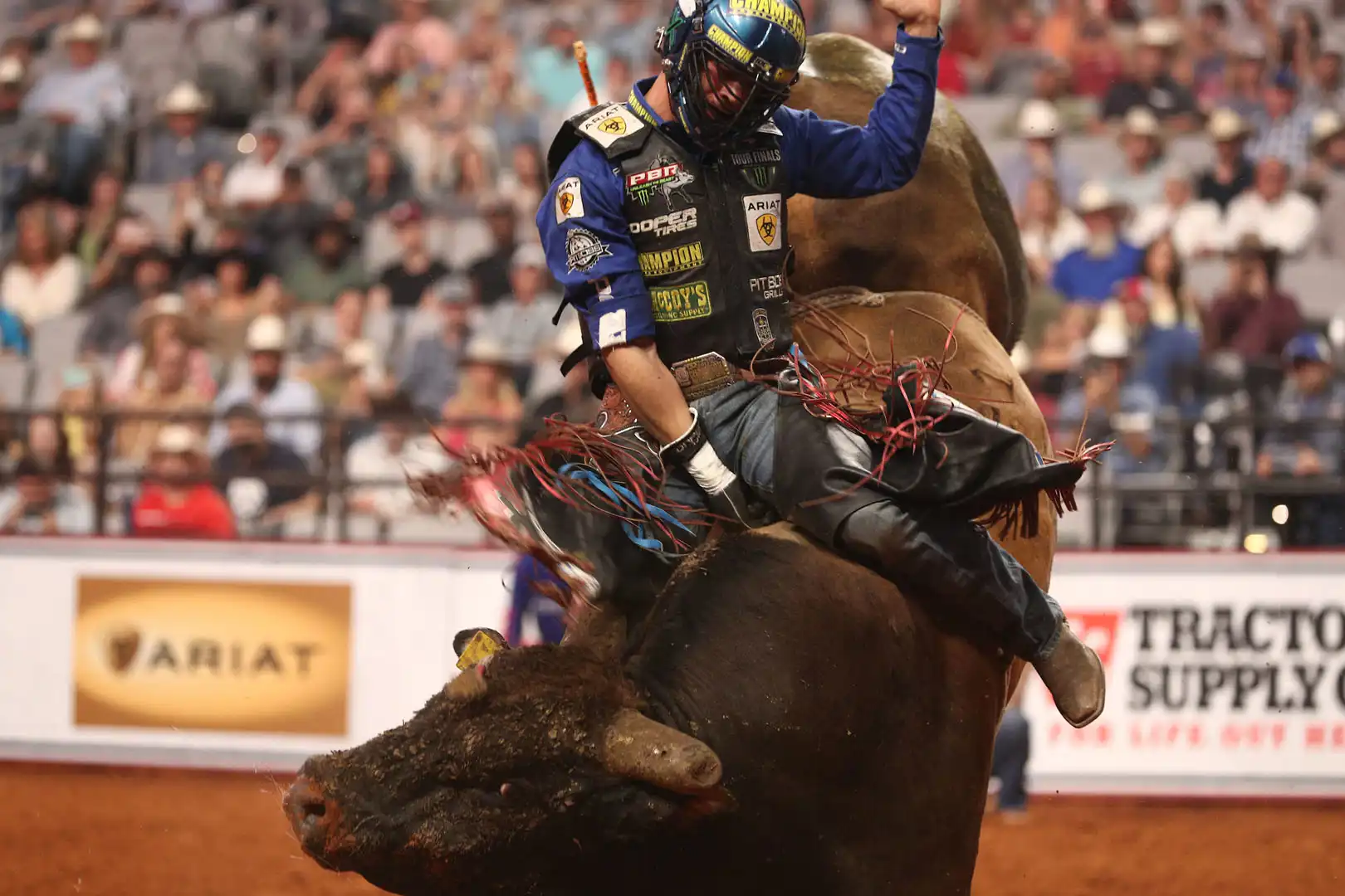 0116224a-44c1-413b-b19e-ff6c894c179f