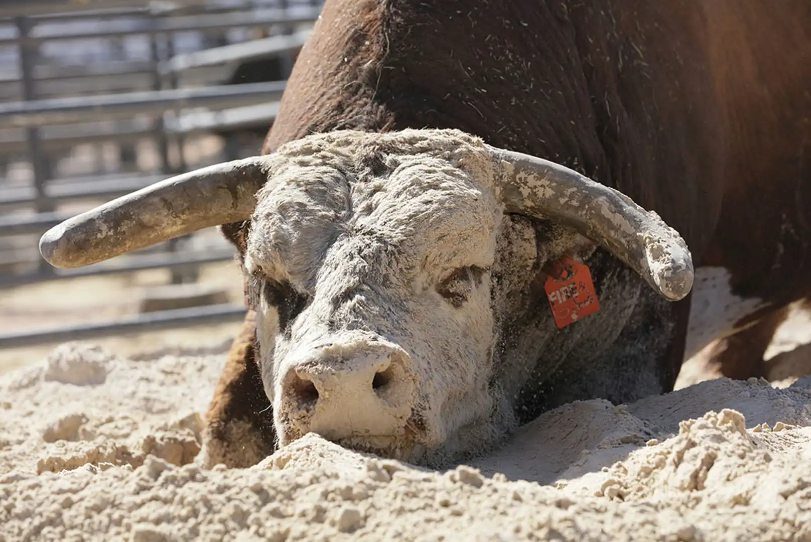 1d027860-f36f-4db9-bc71-c160c68133a5