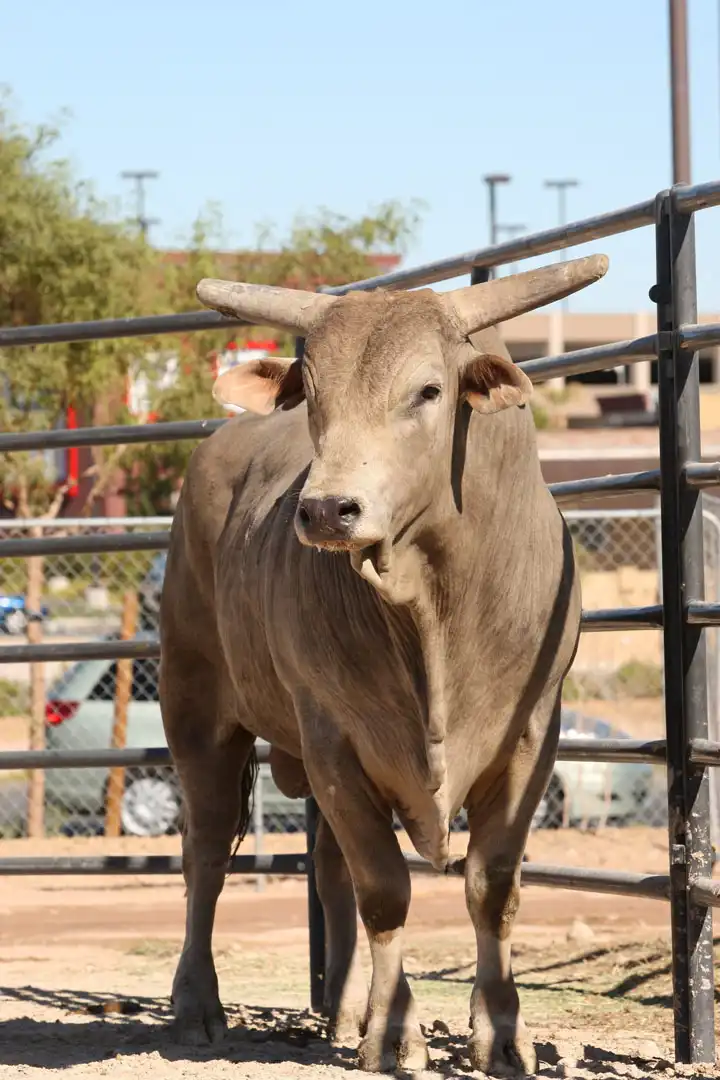 937aa37b-1907-4284-a81b-9be6f23df27d