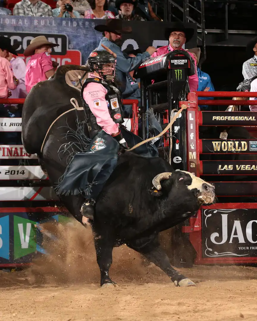 3b834b0f-594b-4888-81d3-561207e9d115