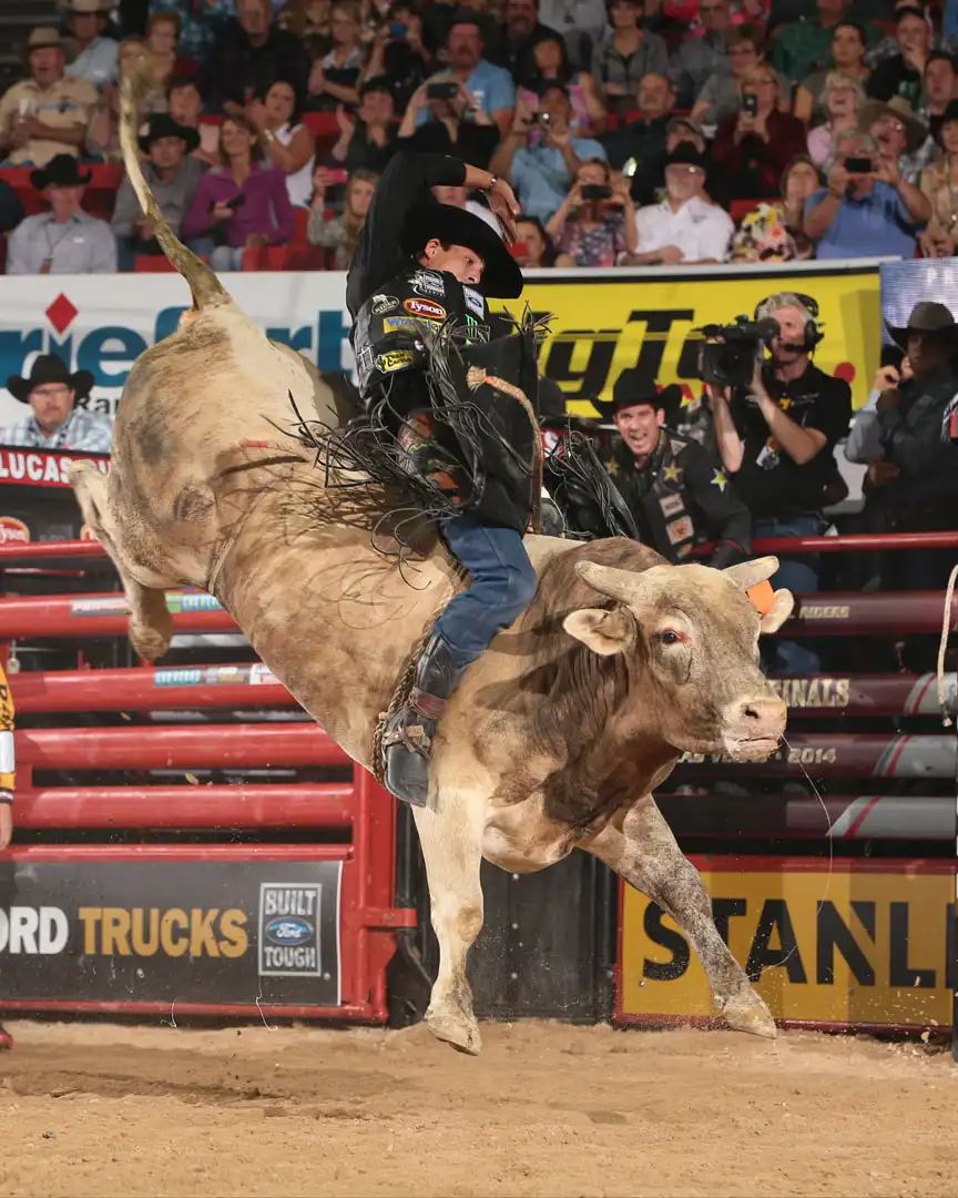 c9ce17be-3dc2-4761-8d19-07e891c4385a