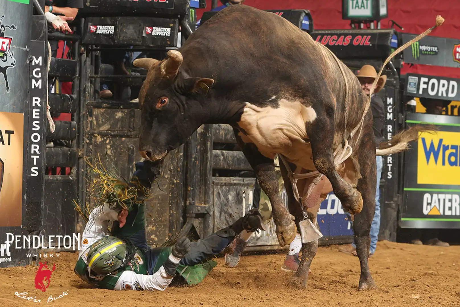 ec50ac16-7f40-4b66-90ad-9ea78979e23a