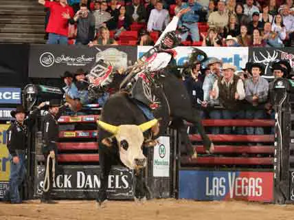 North Carolina Superstar Starts Week Off Right; Takes Round 1 Victory!