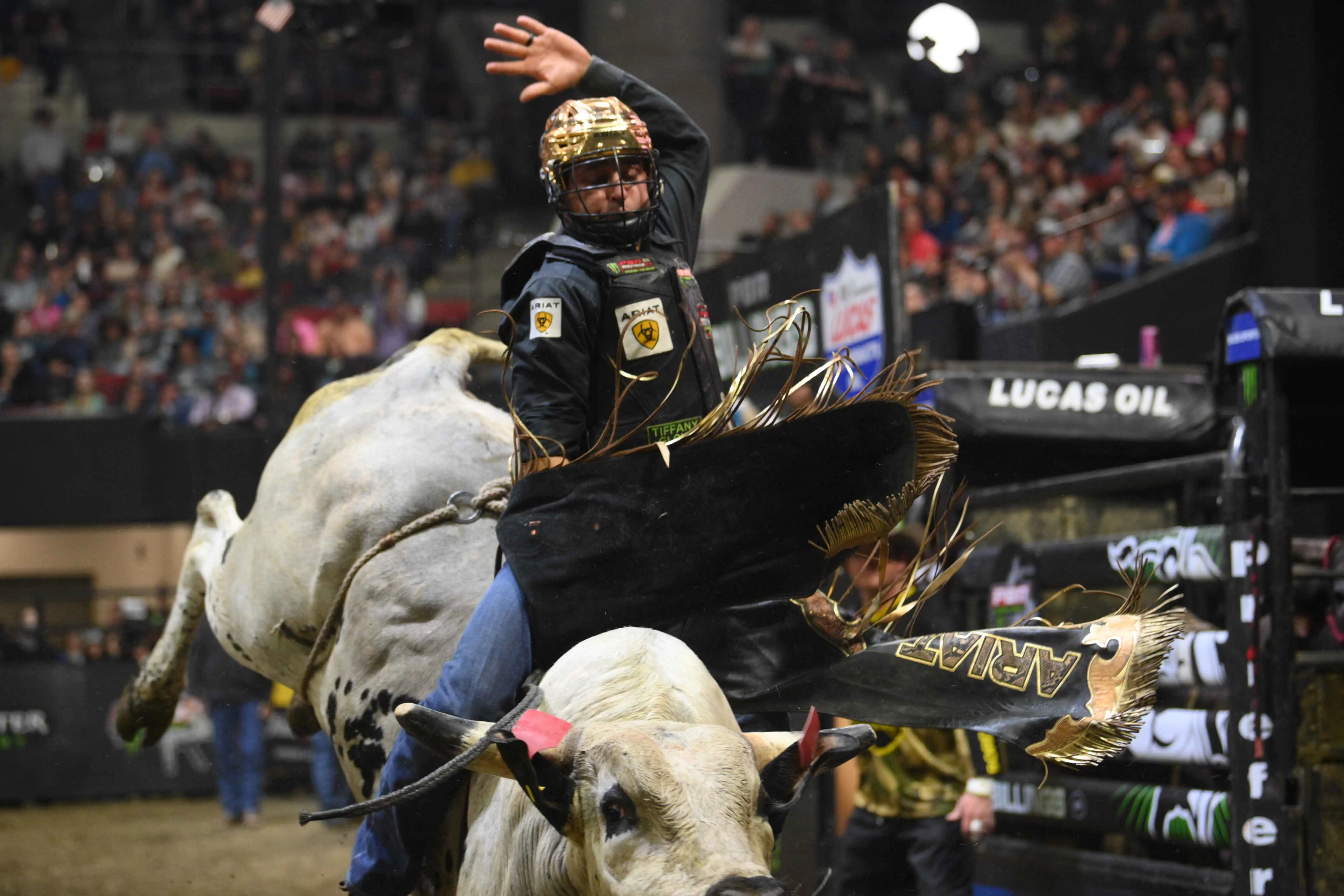 25 LIVE Billings 02 499