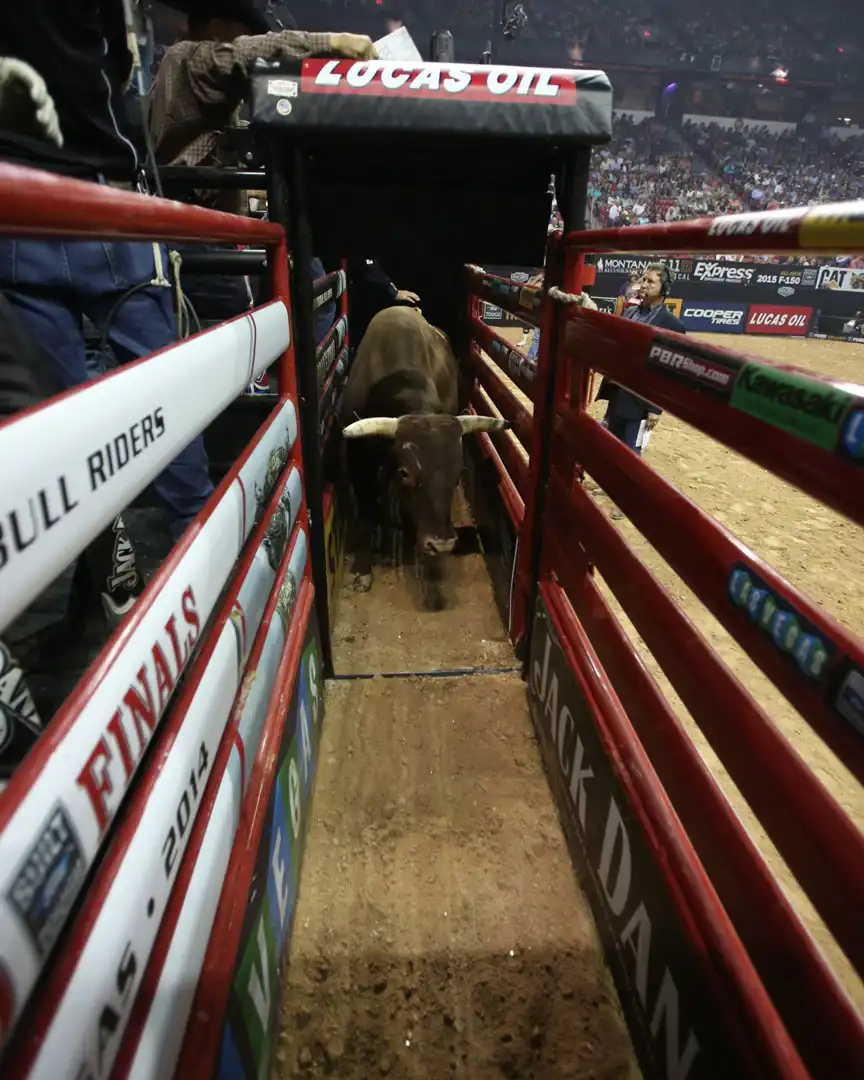 560fcbdb-ce61-406d-8383-a600d094c720