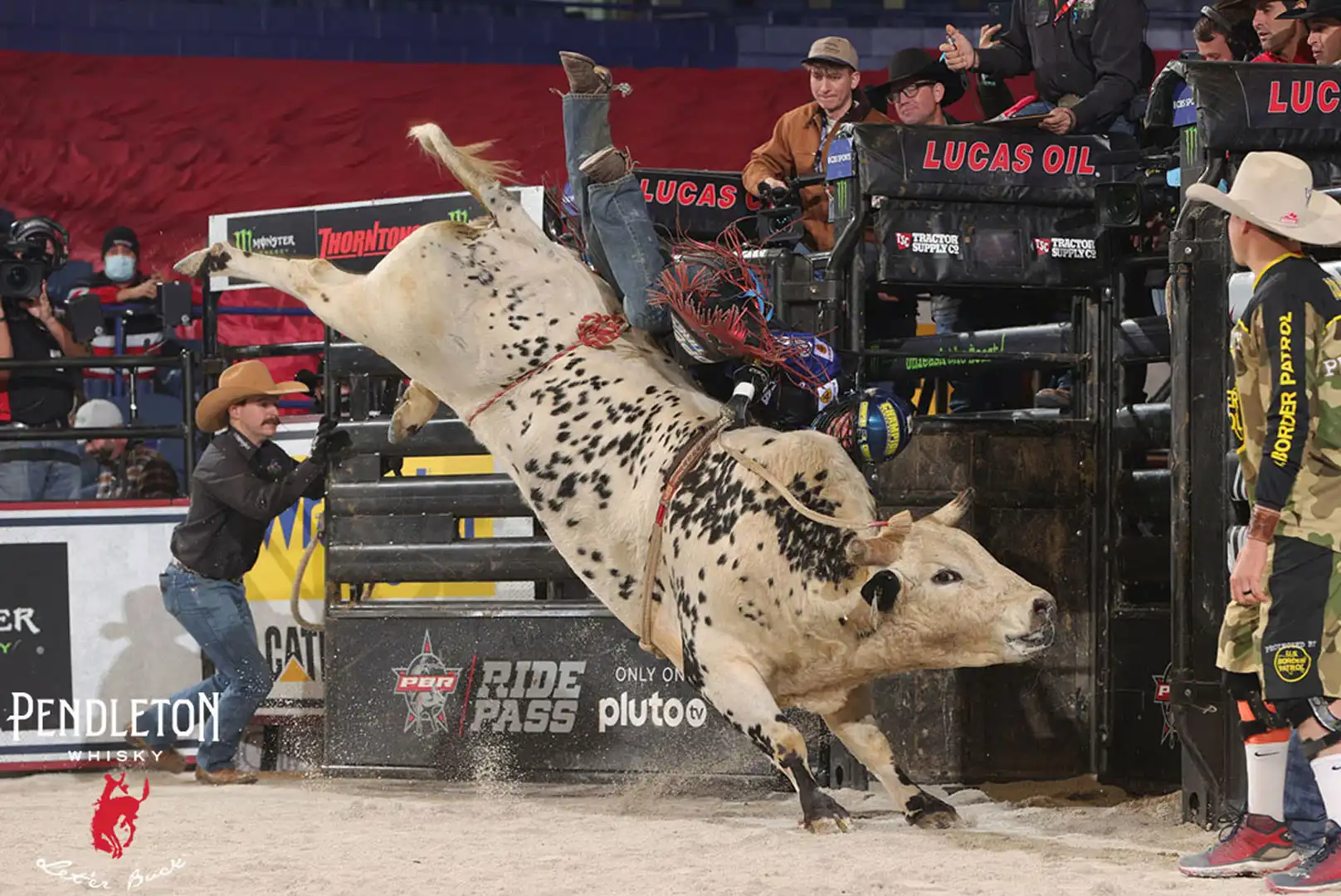 fe00f78d-ef3a-4e59-b6e5-0baaff8cab27