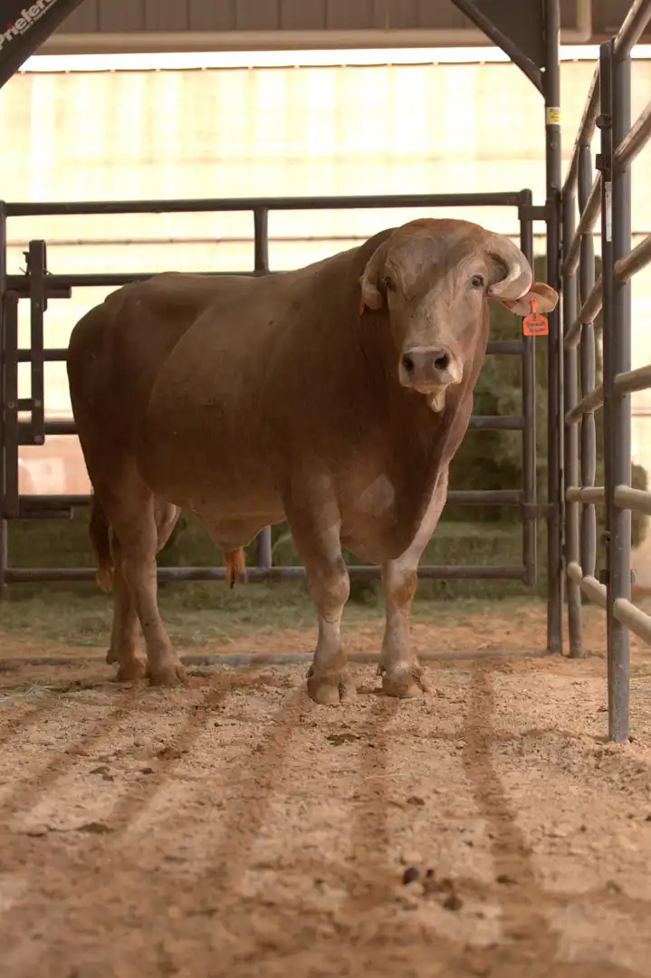 3fba5f5a-9d3d-4556-be15-95ed3e03d5f6