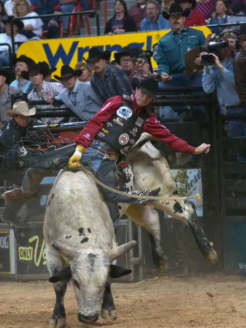 edb7677a-9a77-4a22-aa93-3816aeae5a85