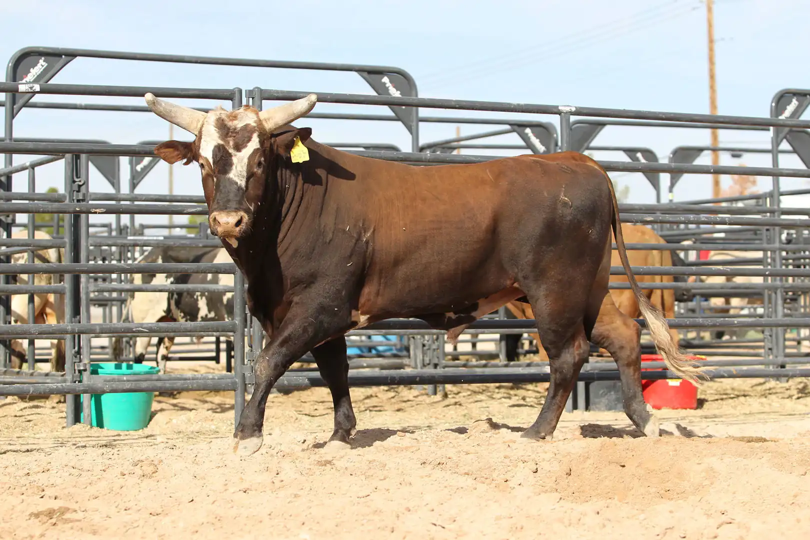 d5f03c04-a2fd-4988-8d00-d3cb993c1488