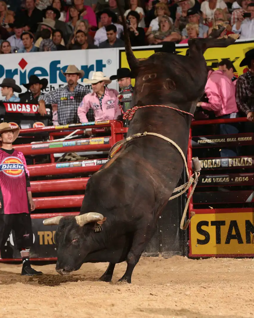 3514561e-d384-4f99-bca8-96c6519f5692