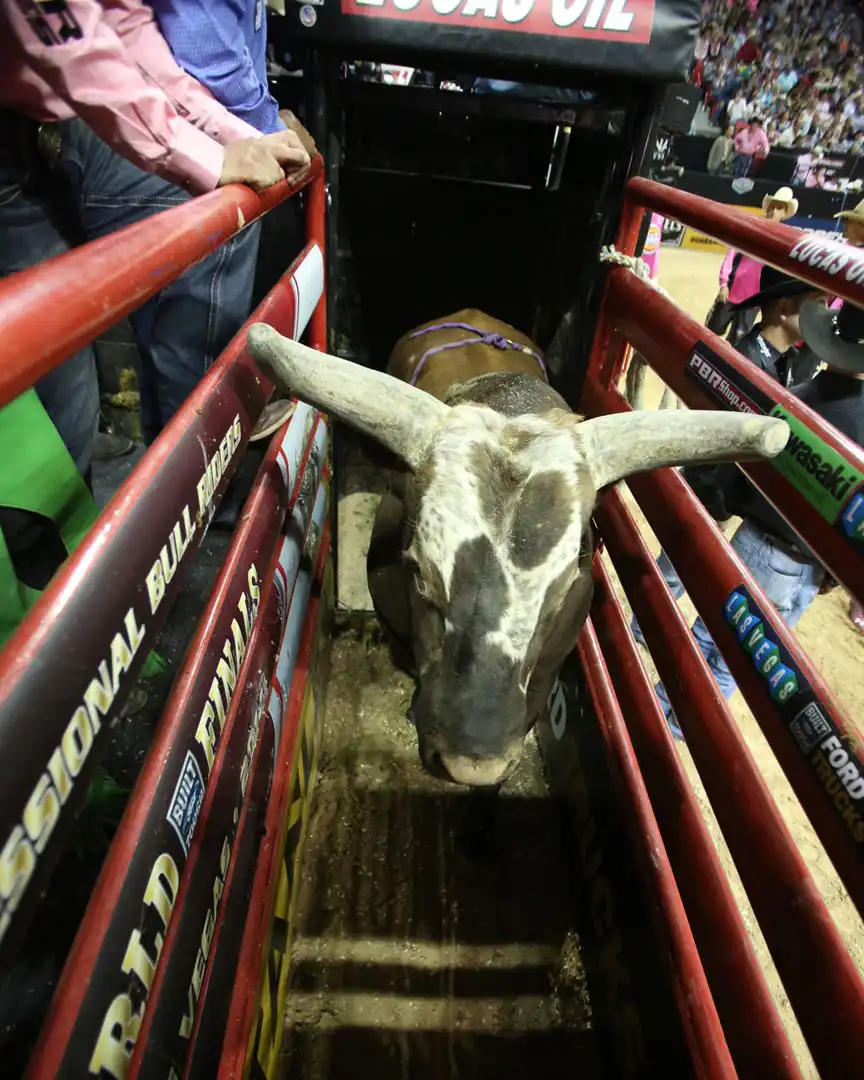 127d5da2-eea5-4ec5-b1ba-4148c1516197