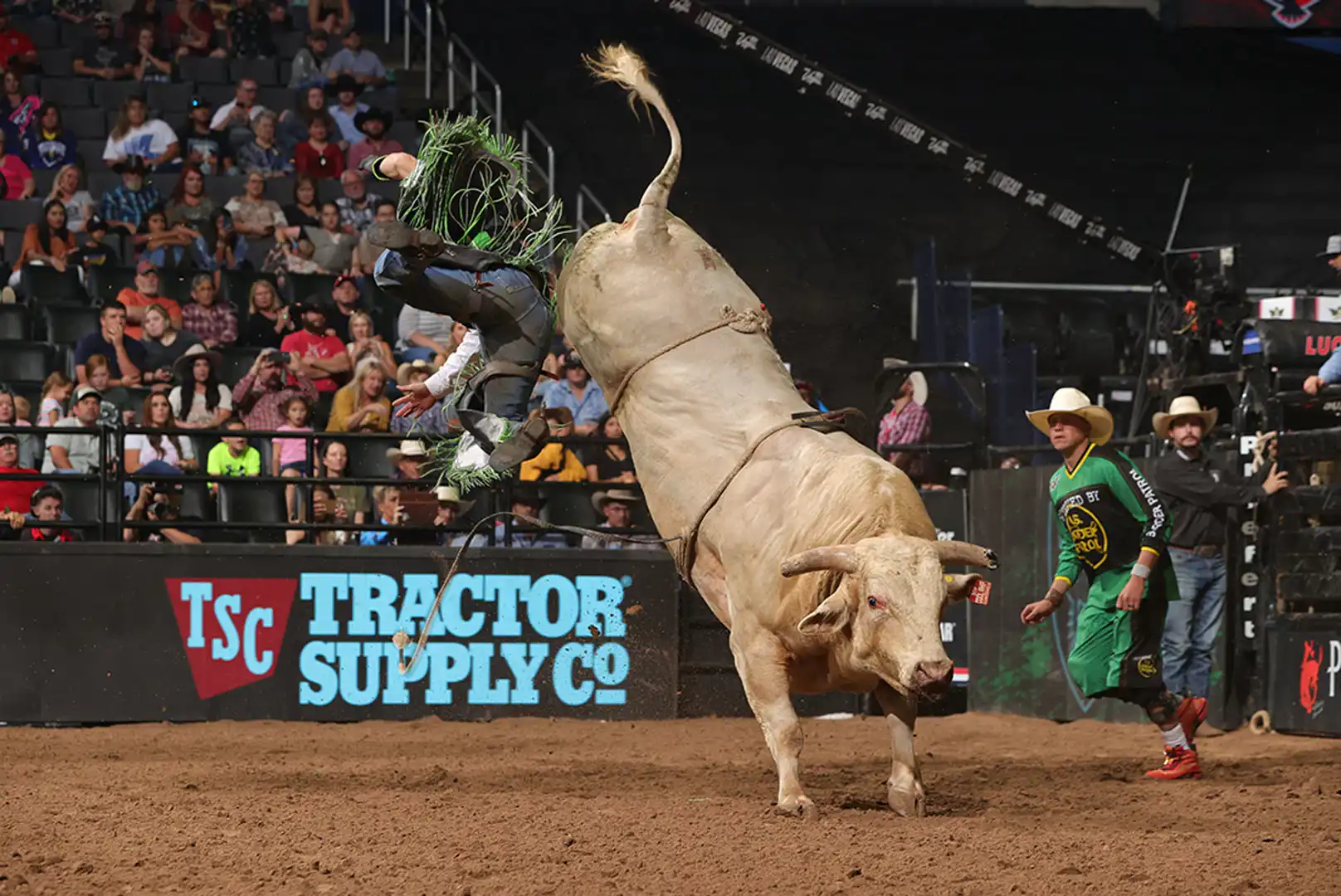 0ae19dff-56c6-4d8b-ba5d-edd207c470c1