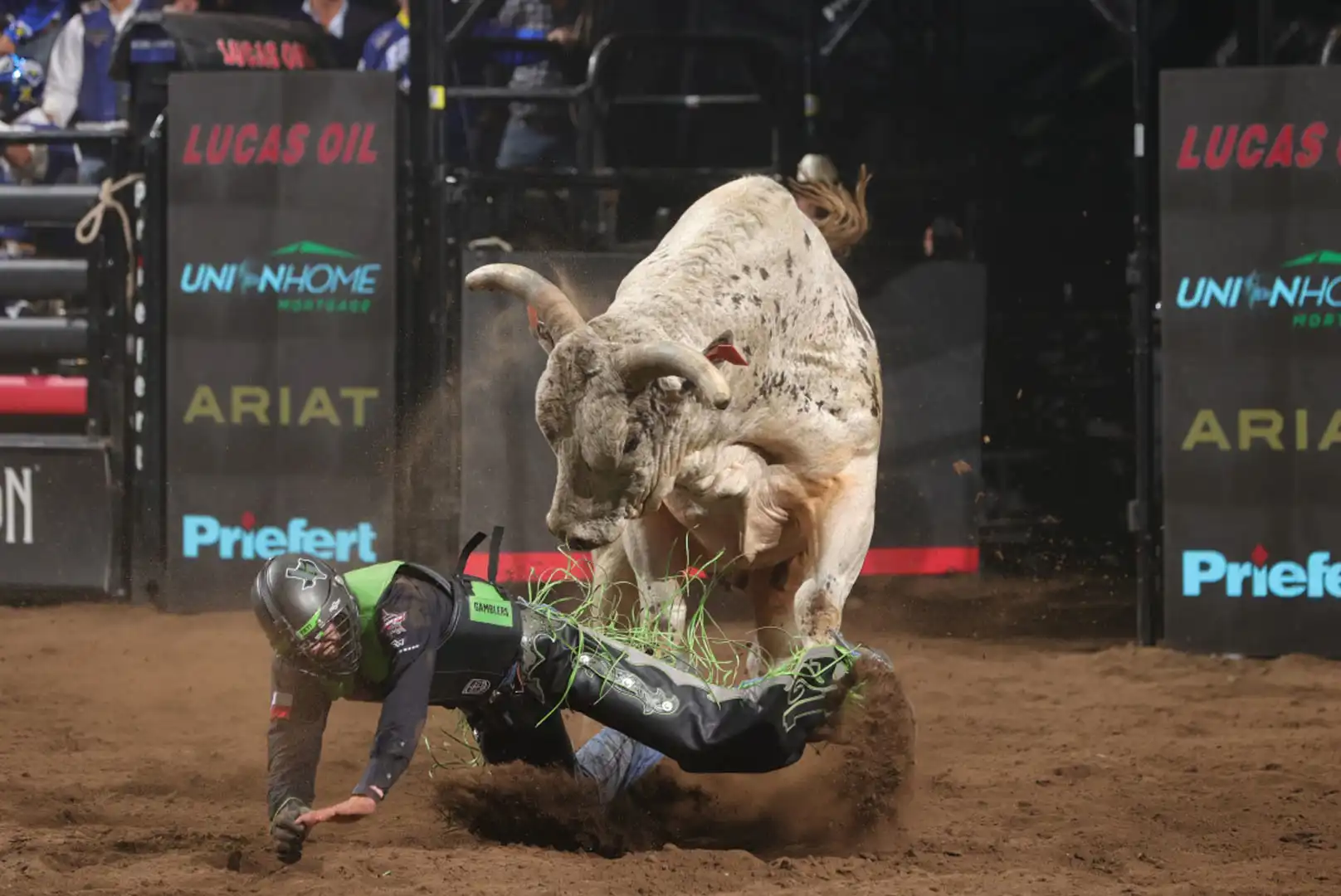 4a1734cd-d7d1-4cb4-b798-9e5ffab96823