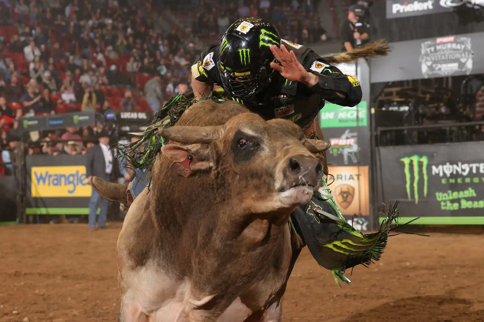 14fbb433-04b8-4abc-8f46-6b99a4a0c227