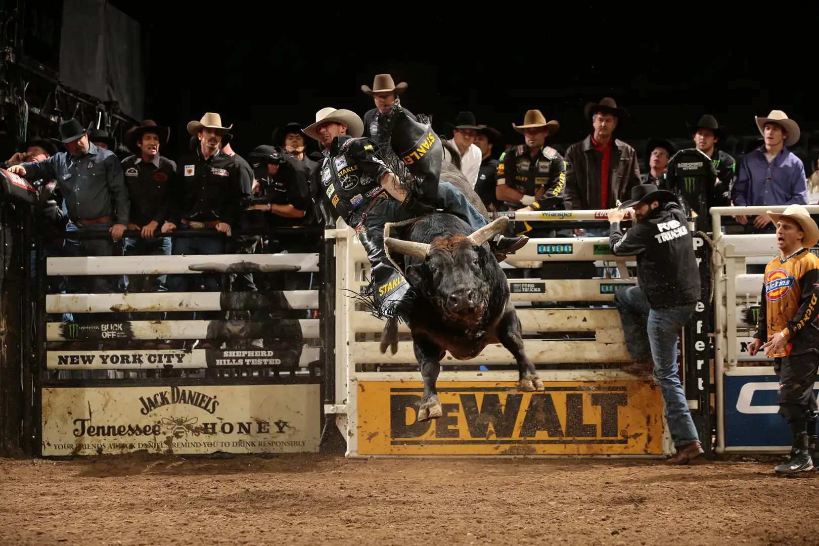 556373d6-197f-4555-93bf-17dace8bc6d1