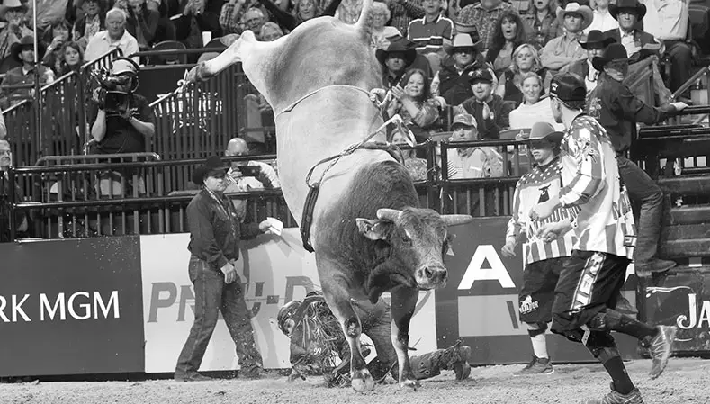 Looking back at SweetPro’s Bruiser’s three YETI World Champion Bull titles