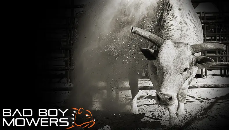 Bad Boy Mowers Morning Line - Cowboys for a Cause