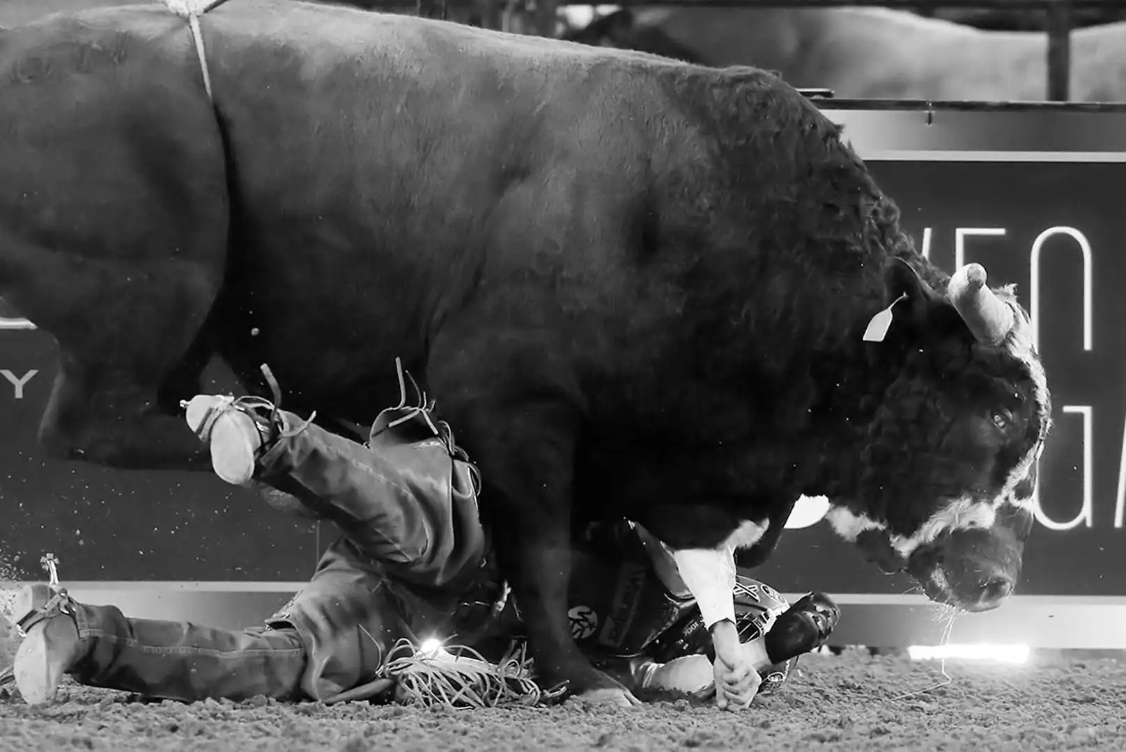 0c720146-f271-4a2c-a67d-0c3db226426a