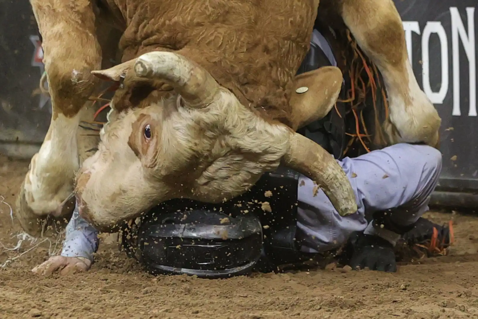 86e4b9bd-25ef-4750-9974-7fe58076620a