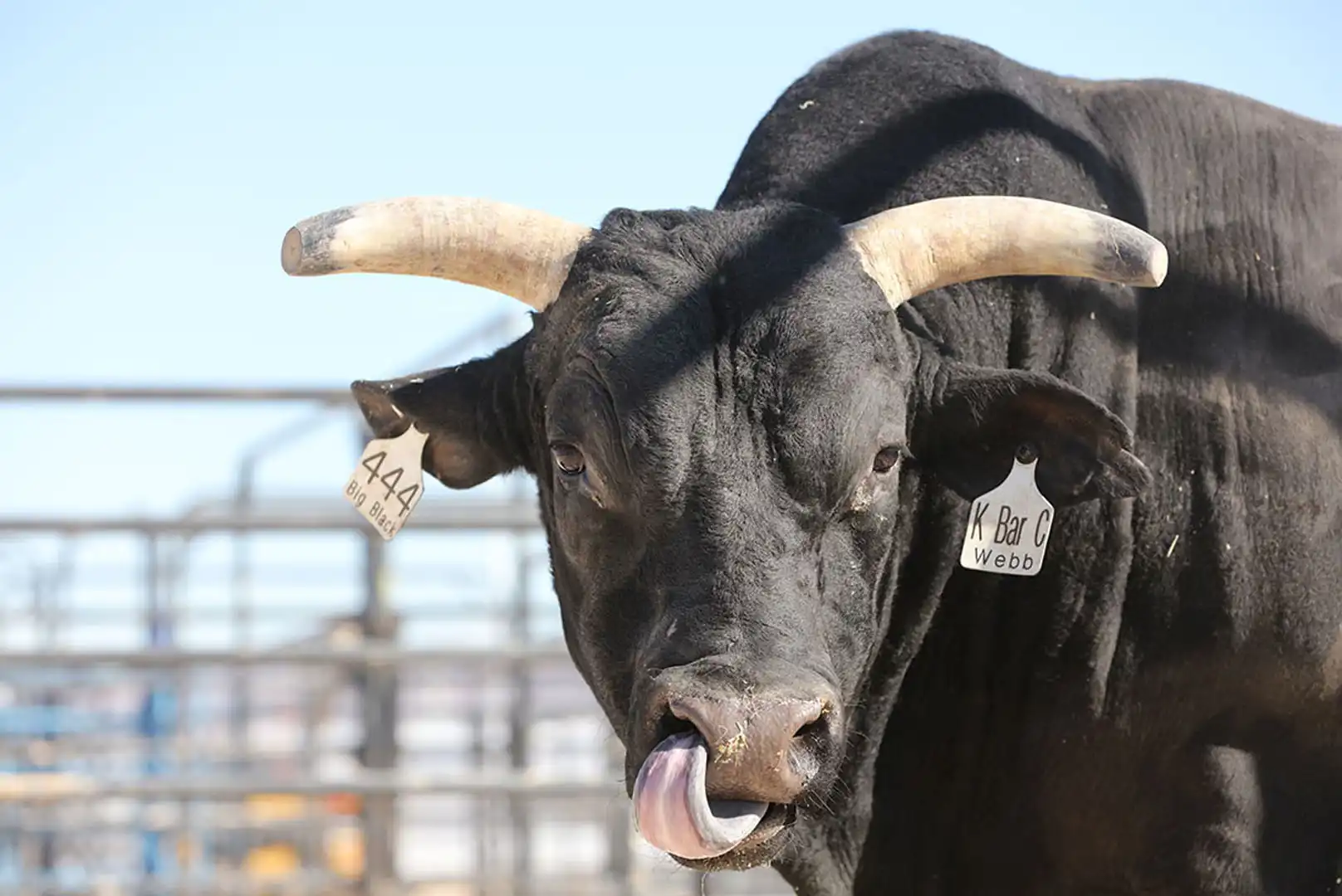 9cf1b157-3fc9-4b23-b5ce-5c87b746b7d3