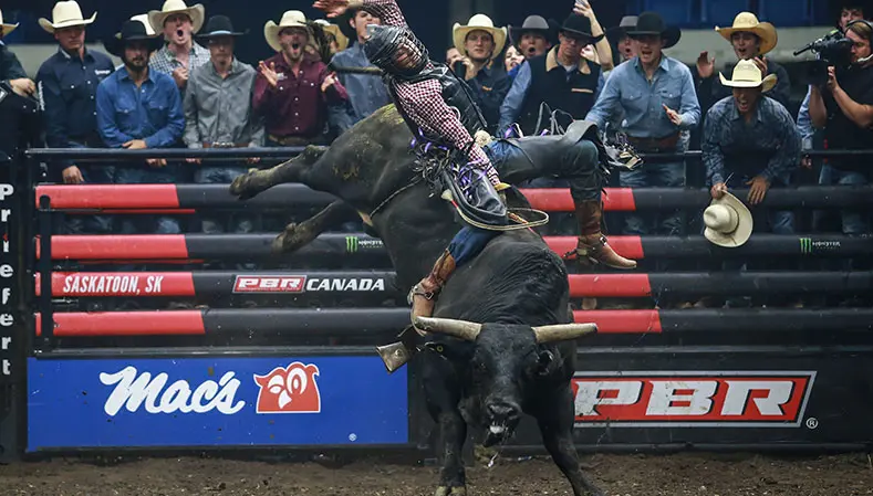 Rank Reports: Liquid Fire