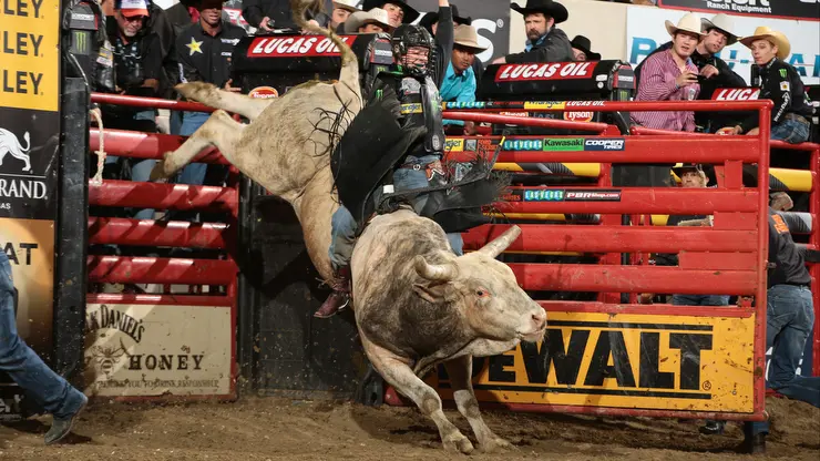 Cates wins Billings 15/15 Bucking Battle