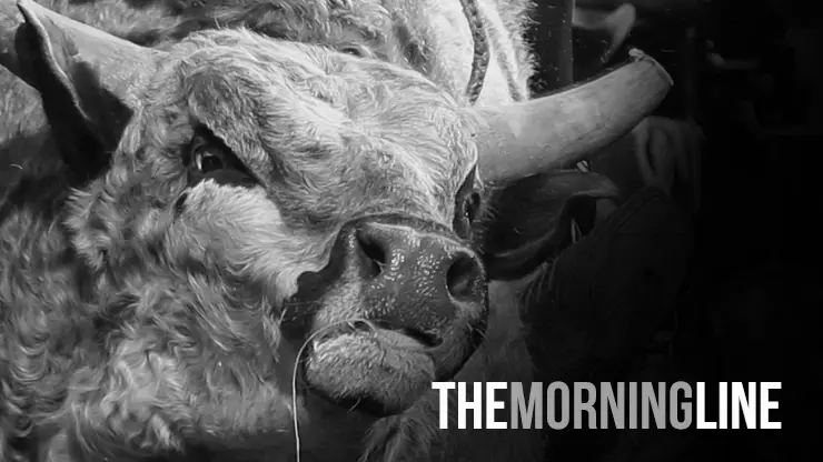 The Morning Line: Uniondale, Day 1