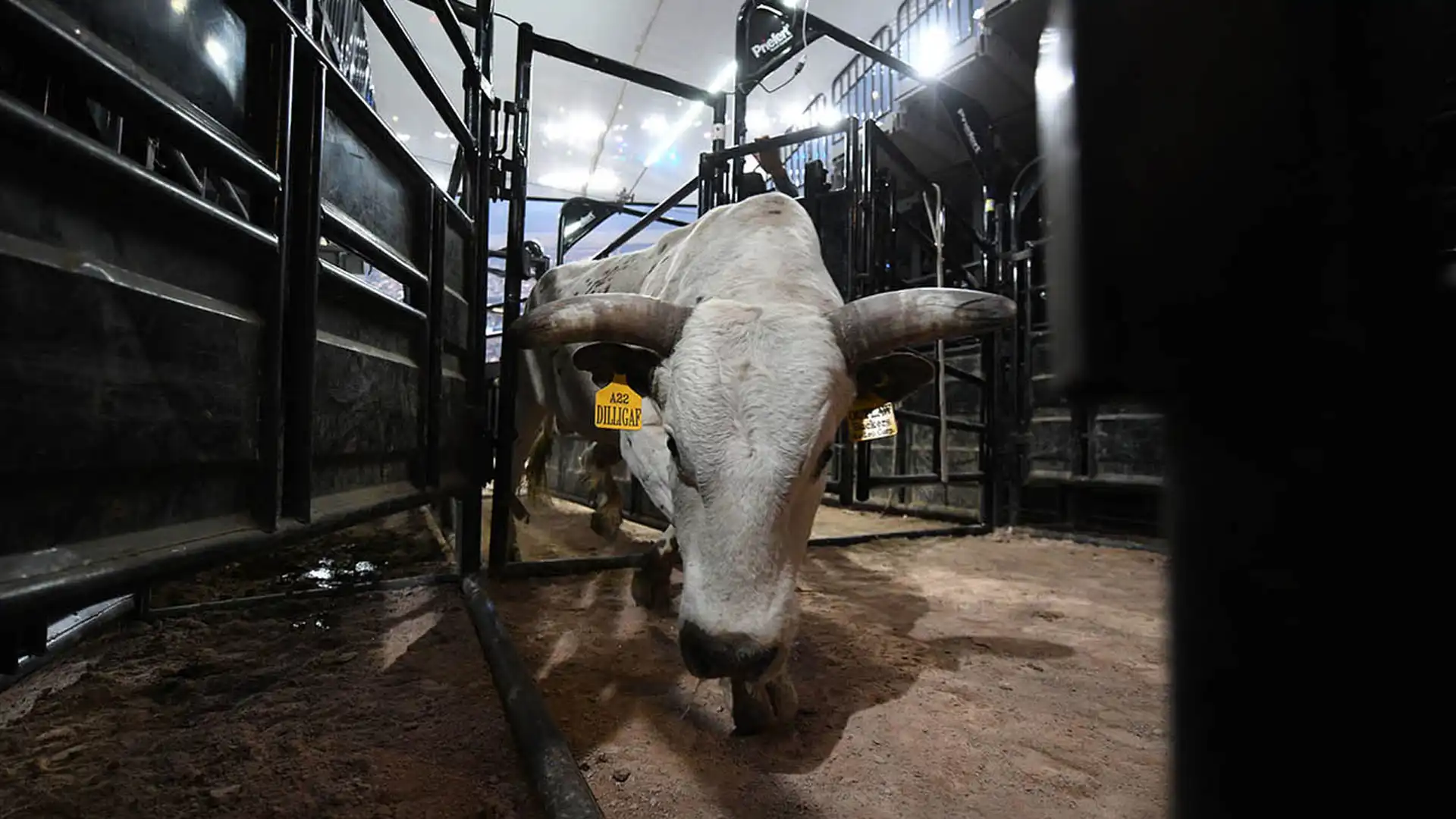 e466433b-8153-41f6-bbae-7a2e59fb6624